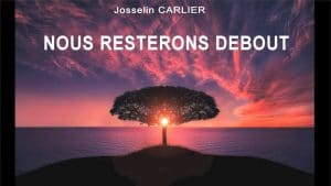 JOSSELIN CARLIER, auteur/compositeur-/nterprète