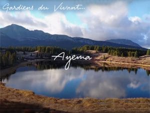 GARDIENS DU VIVANT,  Ayema