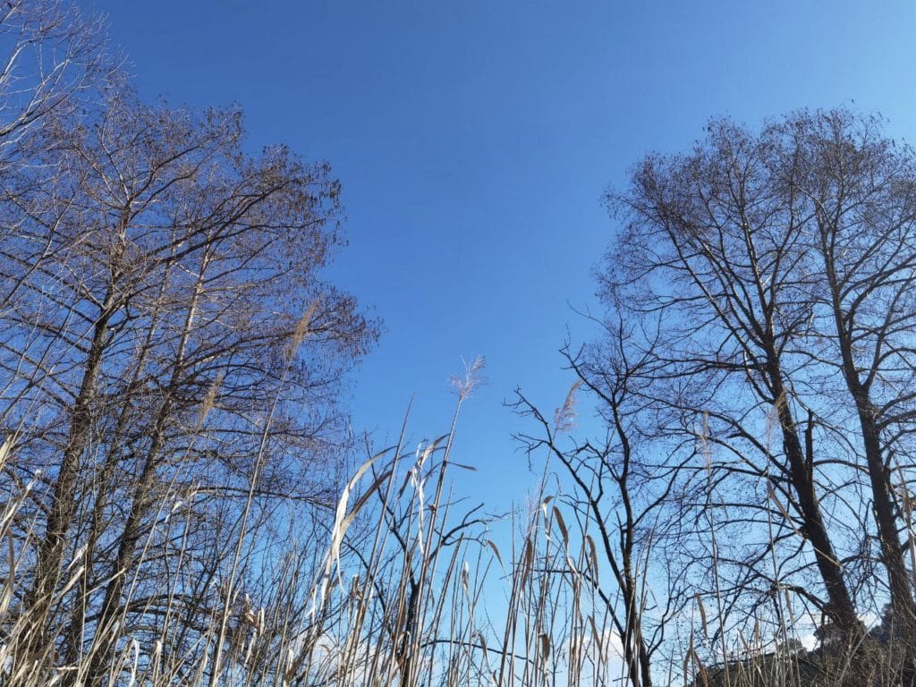 reinfocovid-yoga-et-randonneee