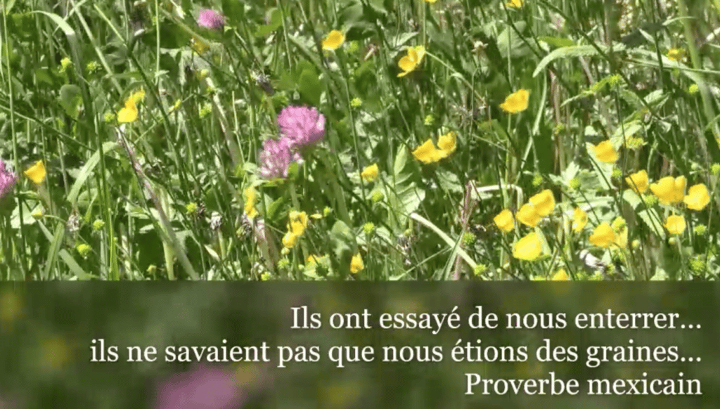 Le prix de la liberté, paroles de résistants à la vaccination obligatoire